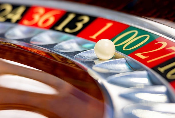 81 togel Bingo